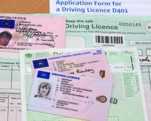 EU-drivers-License-online