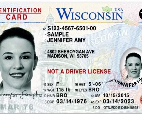 buy-id cards-online